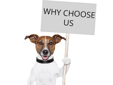 ChooseUs-Dog-Wrench380px ChooseUs-Dog-Wrench380px