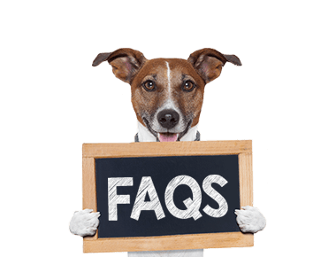 FAQs-Dog-Wrench380px
