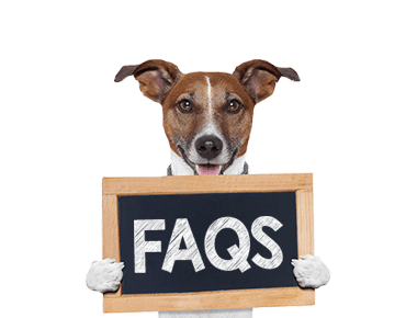 FAQs-Dog-Wrench380px FAQs-Dog-Wrench380px