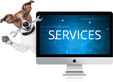 Mac-Services-Dog Mac-Services-Dog