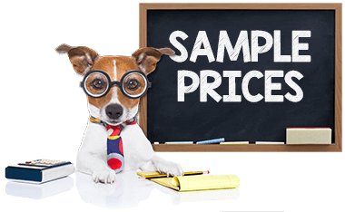 Packages-Dog-transparent Packages-Dog-transparent